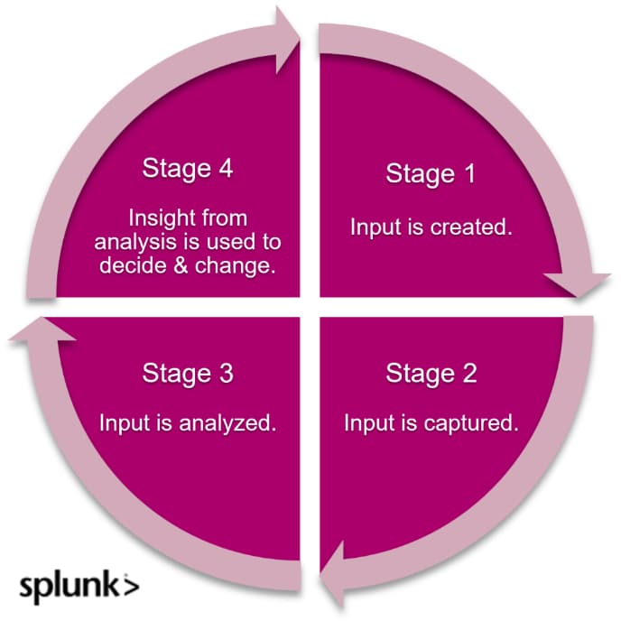 Stages of a feedback loop