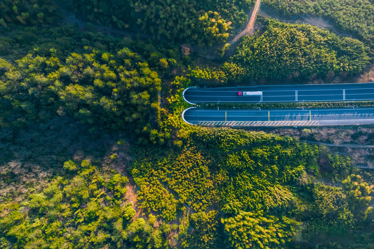 Birdseye view of a forest with a road tunnel running through